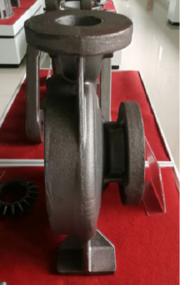 OEM Gusseisenteile, Sandguss, Pumpenkörper für Automobile, landwirtschaftliche Maschinen