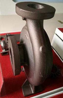 OEM Gusseisenteile, Sandguss, Pumpenkörper für Automobile, landwirtschaftliche Maschinen