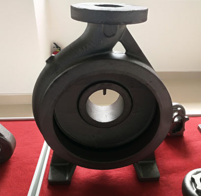 OEM Gusseisenteile, Sandguss, Pumpenkörper für Automobile, landwirtschaftliche Maschinen